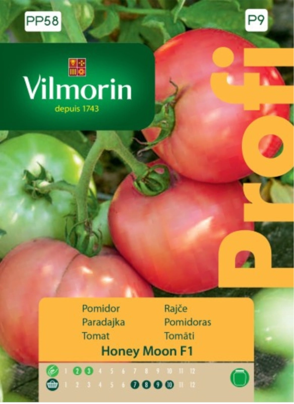 Vilmorin nasiona Profi Pomidor Honey Moon F1 sklep rajogrodnika